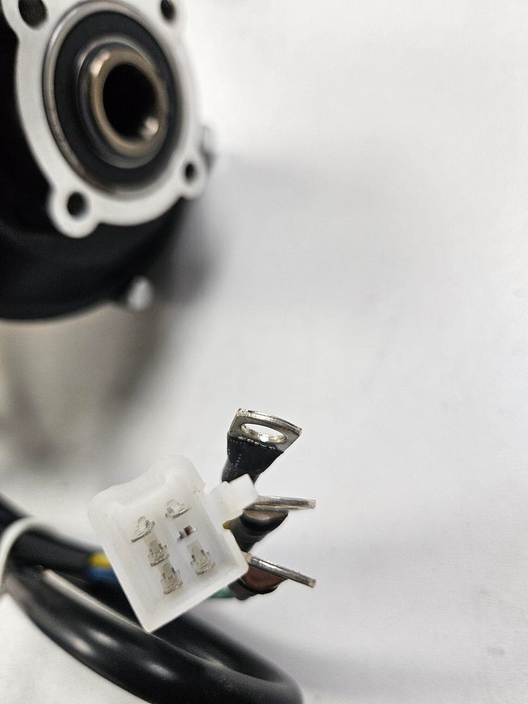 48v quad bike motor