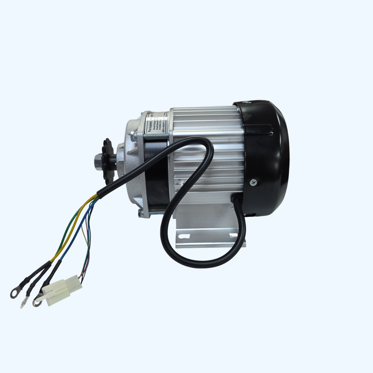 Replacement 1000W Brushless Motor for Neo Outlaw Mud Monster GK008E