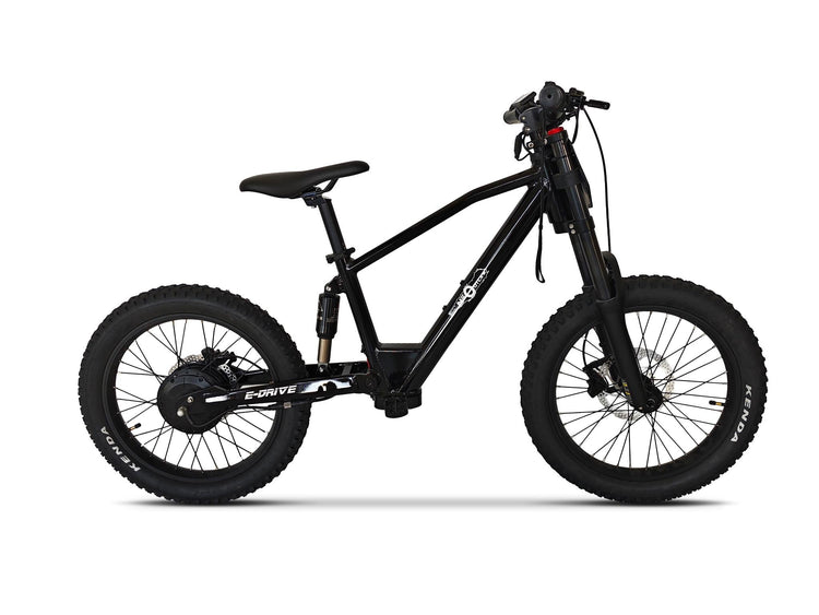Neo Outlaw Max Pro 20" Kids Electric Bike with 750W Brushless Motor