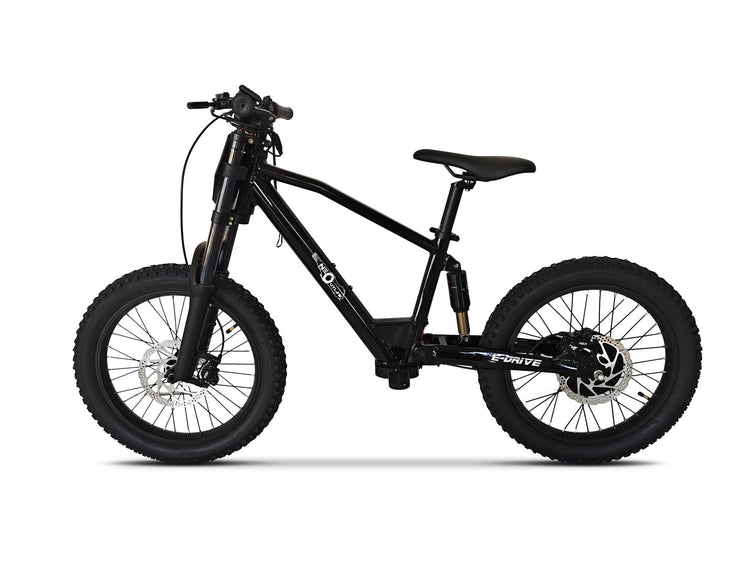 Neo Outlaw Max Pro 20" Kids Electric Bike with 750W Brushless Motor