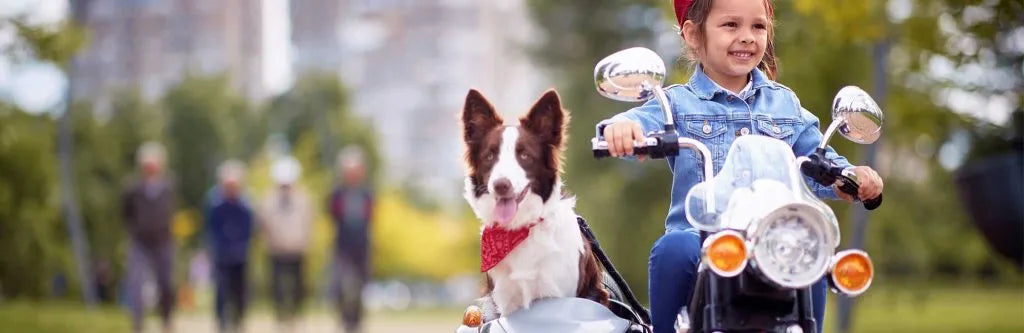 Kids Electric Ride On Motorbikes: The Essential Guide for Parents