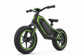 Kids Electric Bikes