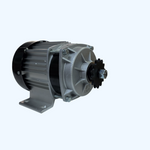 Replacement 1000W Brushless Motor for Neo Outlaw Mud Monster GK008E