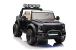 sx2088 Black 2 Seater with remote