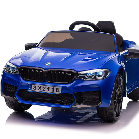 all BMW sx2118