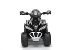 Toddler quad bike