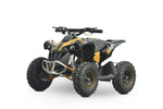Quad Bike for 10 years old
