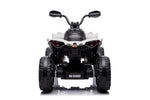Official Can-Am Maverick 24V Kids Electric Ride On Quad ATV Renegade