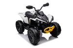 24v Electric Quad Bike for 6 year old