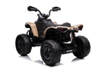 Best 24v Electric Quad Bike