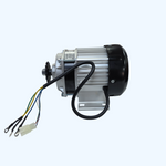 Replacement 1000W Brushless Motor for Neo Outlaw Mud Monster GK008E