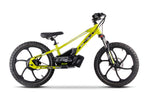 Green 36v electric Bike for kids