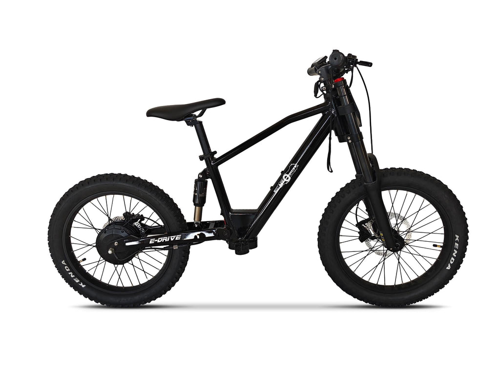 Neo Outlaw Max Pro 20" Kids Electric Bike with 750W Brushless Motor