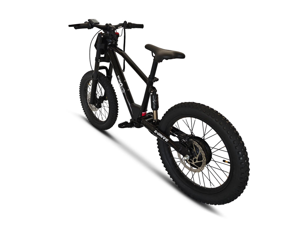 Neo Outlaw Max Pro 20" Kids Electric Bike with 750W Brushless Motor