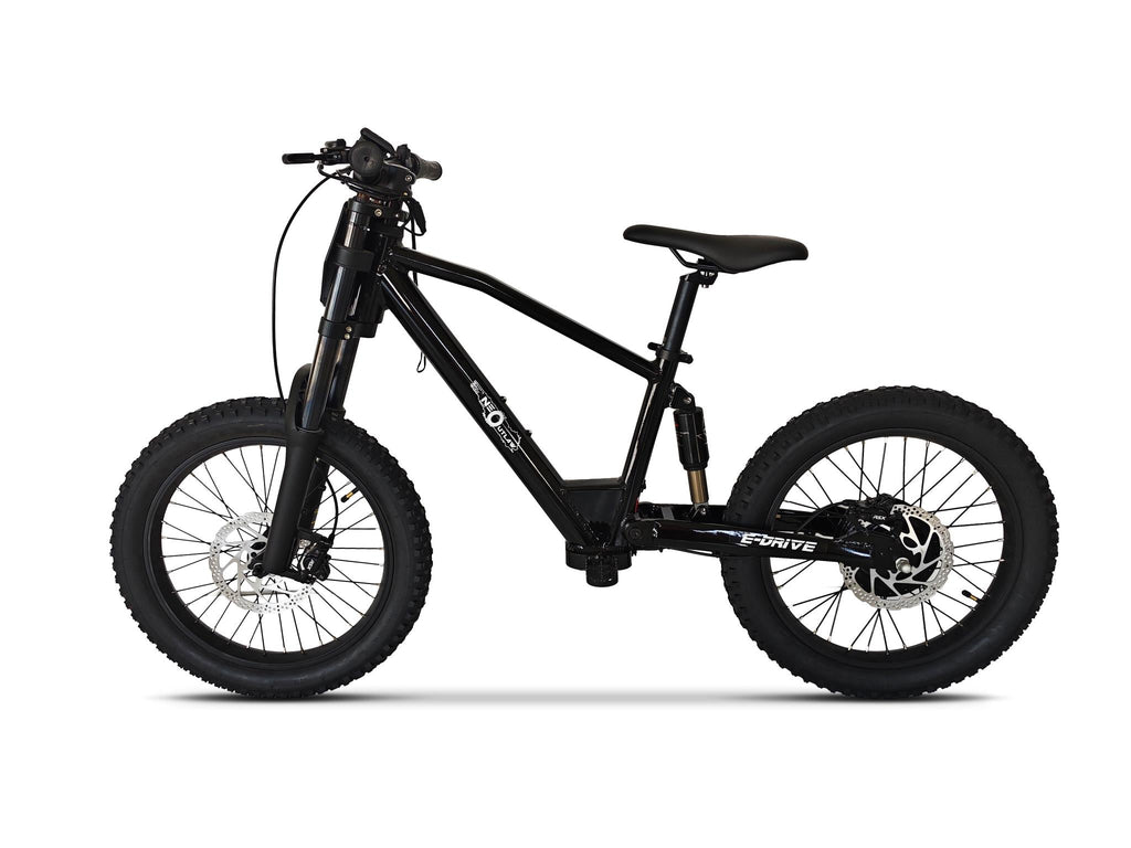 Neo Outlaw Max Pro 20" Kids Electric Bike with 750W Brushless Motor