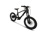 Neo Outlaw Max Pro 20" Kids Electric Bike with 750W Brushless Motor
