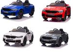 all BMW sx2118