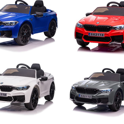 all BMW sx2118
