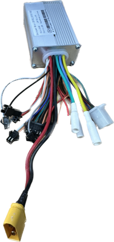 hp154 brain